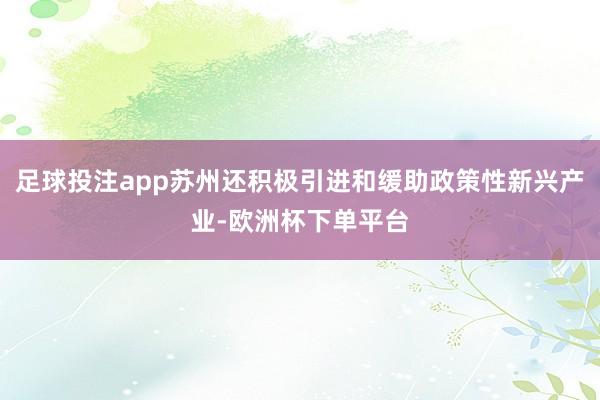 足球投注app苏州还积极引进和缓助政策性新兴产业-欧洲杯下单平台