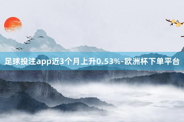 足球投注app近3个月上升0.53%-欧洲杯下单平台