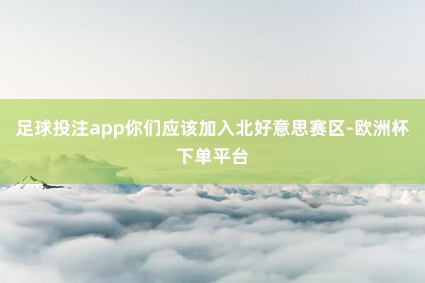 足球投注app你们应该加入北好意思赛区-欧洲杯下单平台