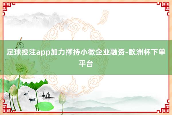 足球投注app加力撑持小微企业融资-欧洲杯下单平台